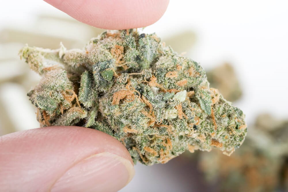 Decarboxylation 101: Turning THCA into&nbsp;THC